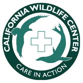 California Wildlife Center